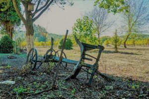 El campo andaluz- Cortijo Don Simón
